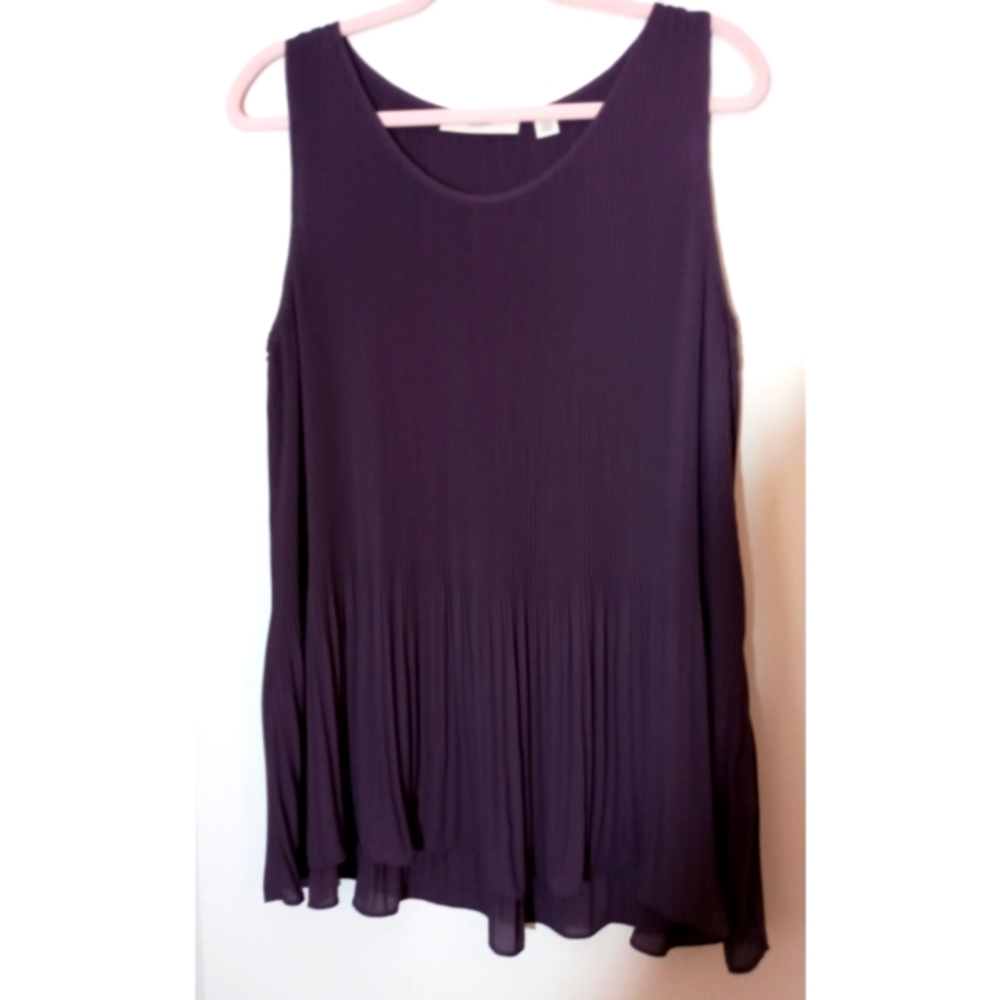 Ladies Pleated Blouse